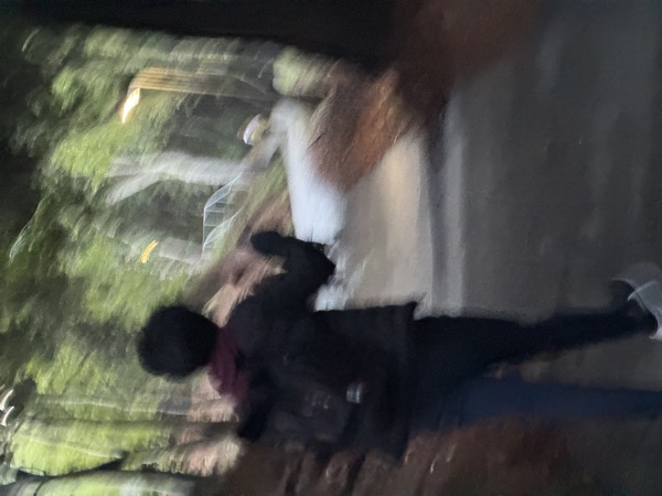 I seem to only have Raph in motion, so here he is again in motion
